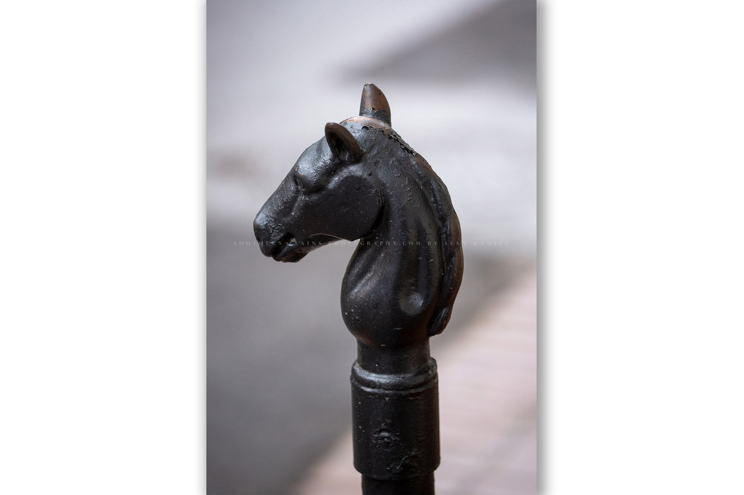 Victorian style vertical photography print of a horse head hitching post in the French Quarter of New Orleans, Louisiana by Sean Ramsey of Southern Plains Photography.