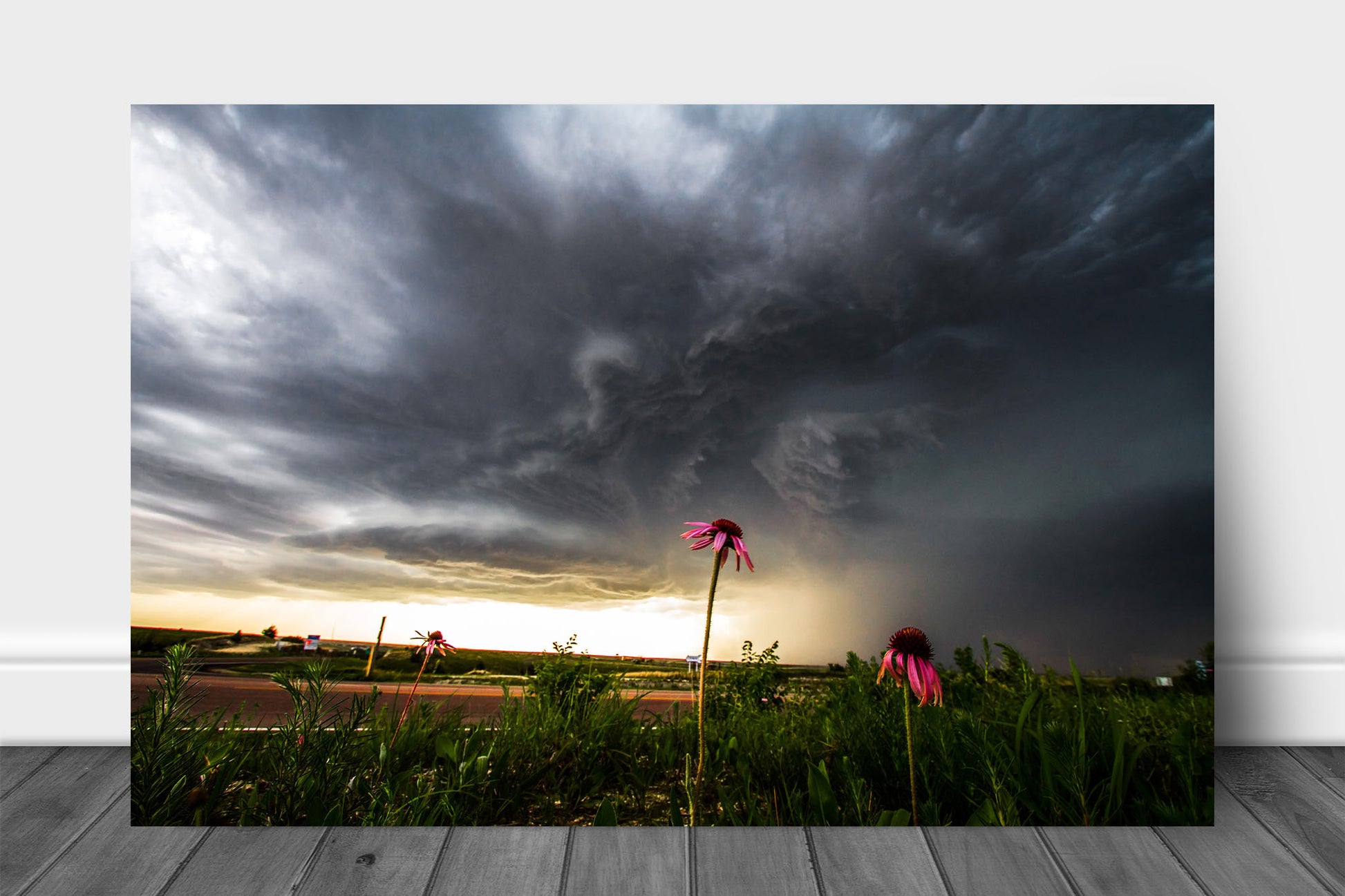 Nature aluminum metal print wall art of echinacea wildflowers standing strong as a powerful thunderstorm approaches on a spring day in Kansas by Sean Ramsey of Southern Plains Photography.