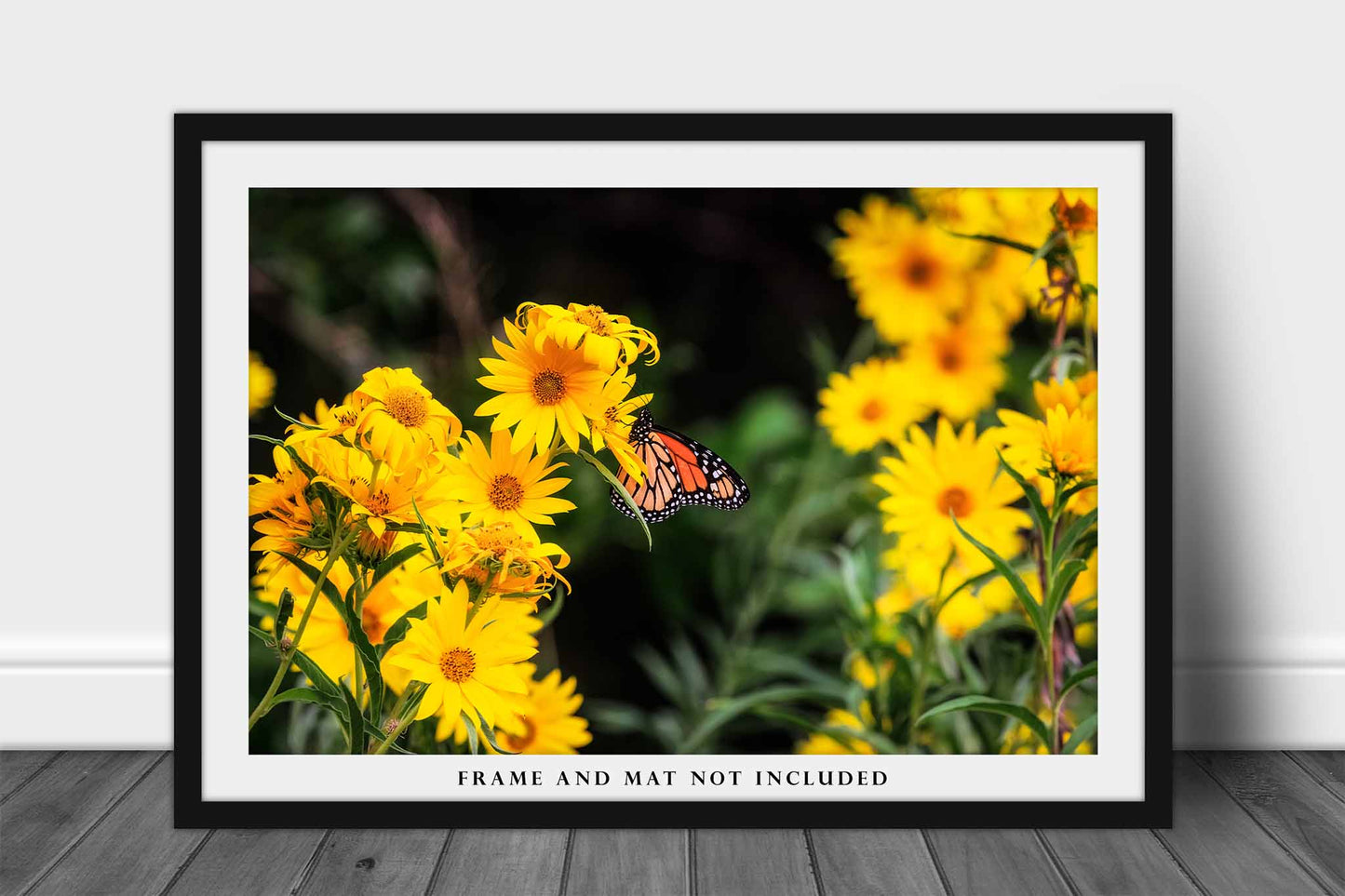 Wildflowers Photography Print | Monarch Butterfly Picture | Flower Wall Art | Oklahoma Photo | Nature Decor | Not Framed