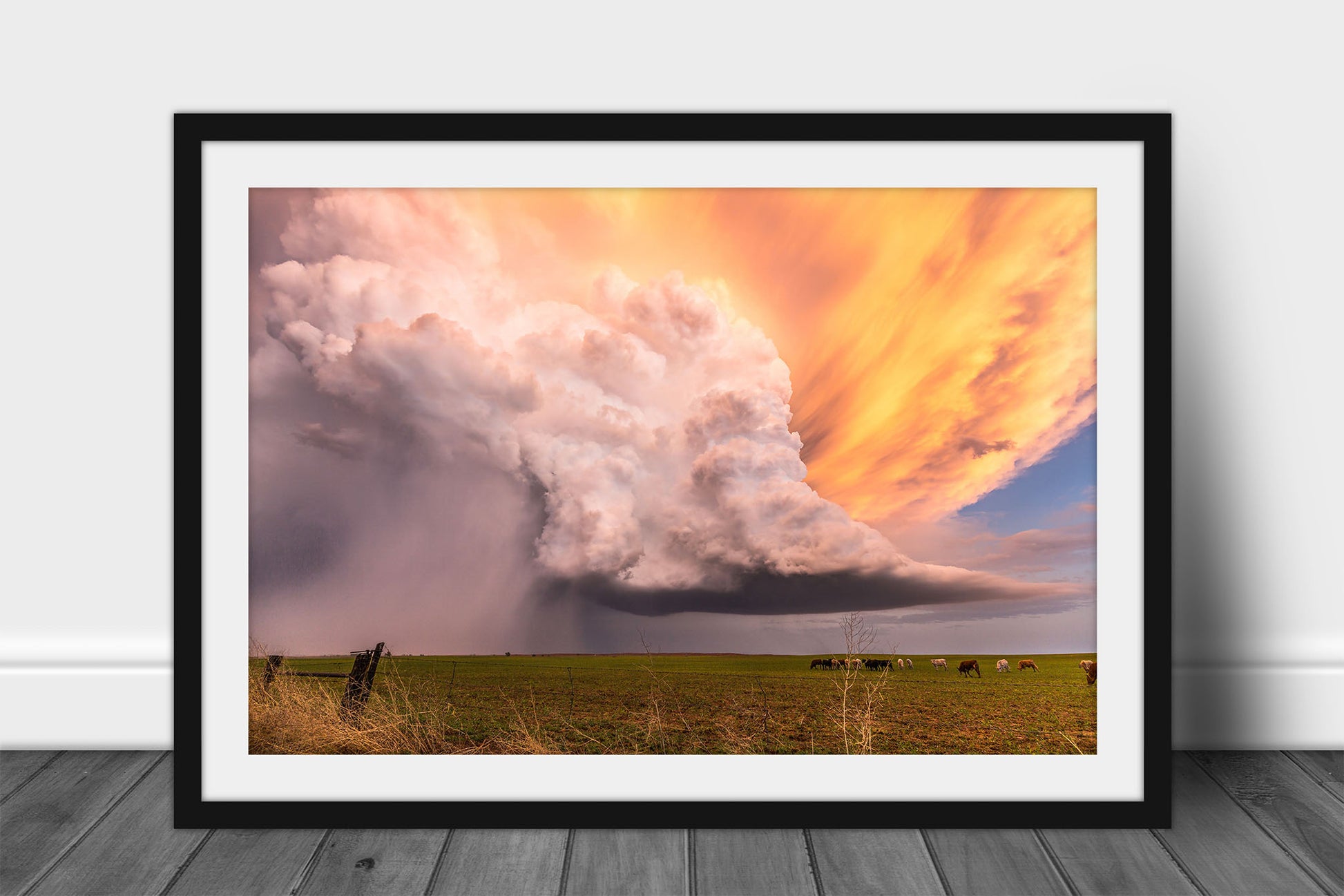 Framed and matted storm print of a supercell thunderstorm over a field with cattle at sunset on a stormy evening in Kansas by Sean Ramsey of Southern Plains Photography.