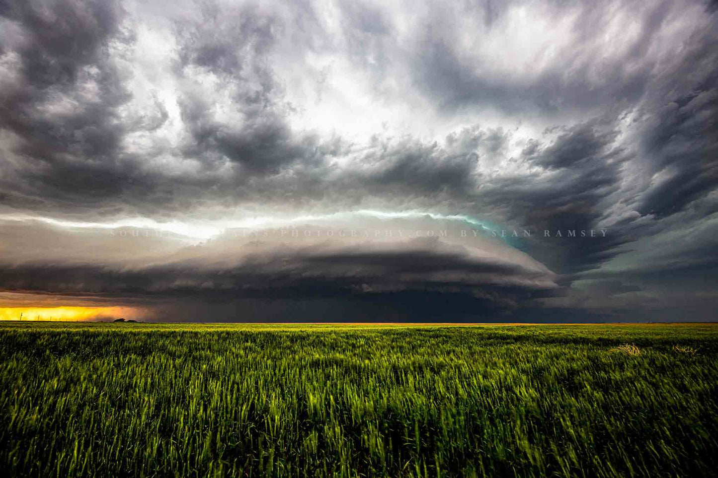 Storm photography print of a supercell thunderstorm over a wheat field on a stormy spring day in Kansas by Sean Ramsey of Southern Plains Photography.