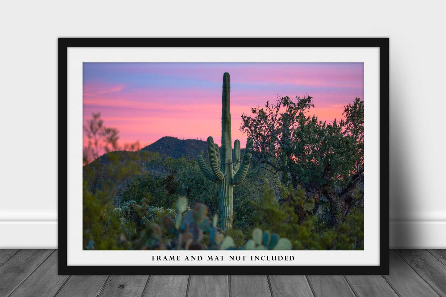 Southwest Photography Wall Art Print - Picture of Saguaro Cactus and Colorful Sky in the Sonoran Desert in Arizona Succulent Decor