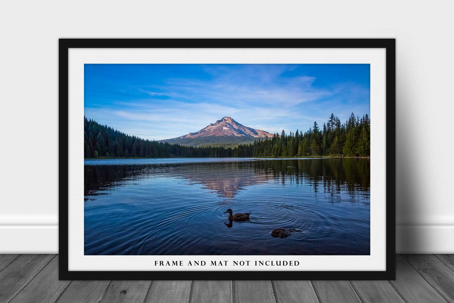 Pacific Northwest Photo Print | Mount Hood Picture | Oregon Wall Art | Landscape Photography | Nature Decor