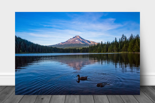 Pacific Northwest metal print wall art on aluminum of Mount Hood overlooking Trillium Lake on a summer day in Oregon by Sean Ramsey of southern Plains Photography.