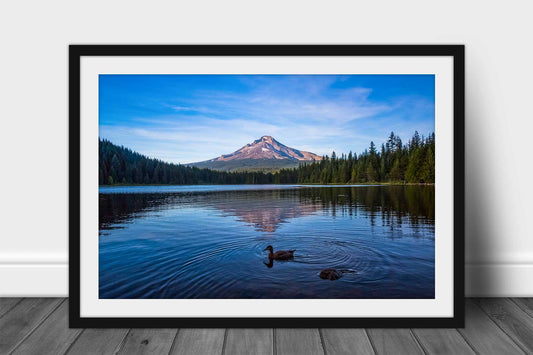 Framed and matted Pacific Northwest print of Mount Hood overlooking Trillium Lake on a summer day in Oregon by Sean Ramsey of southern Plains Photography.