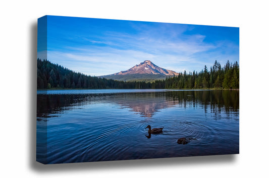 Pacific Northwest canvas wall art of Mount Hood overlooking Trillium Lake on a summer day in Oregon by Sean Ramsey of southern Plains Photography.