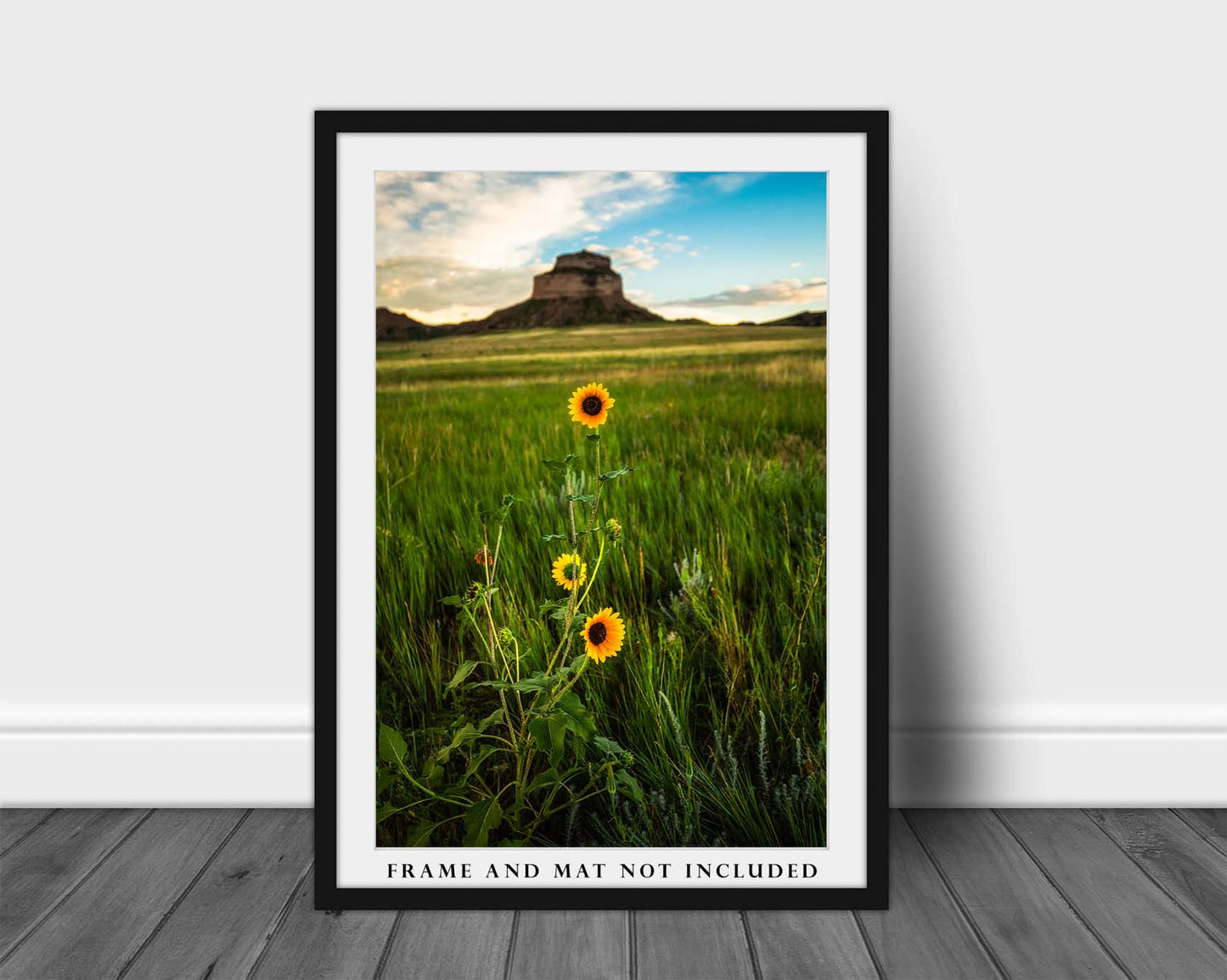 Country Photography Print - Vertical Picture of Wild Sunflowers and Bluff in Nebraska Western Landscape Wildflower Decor Wall Photo Artwork
