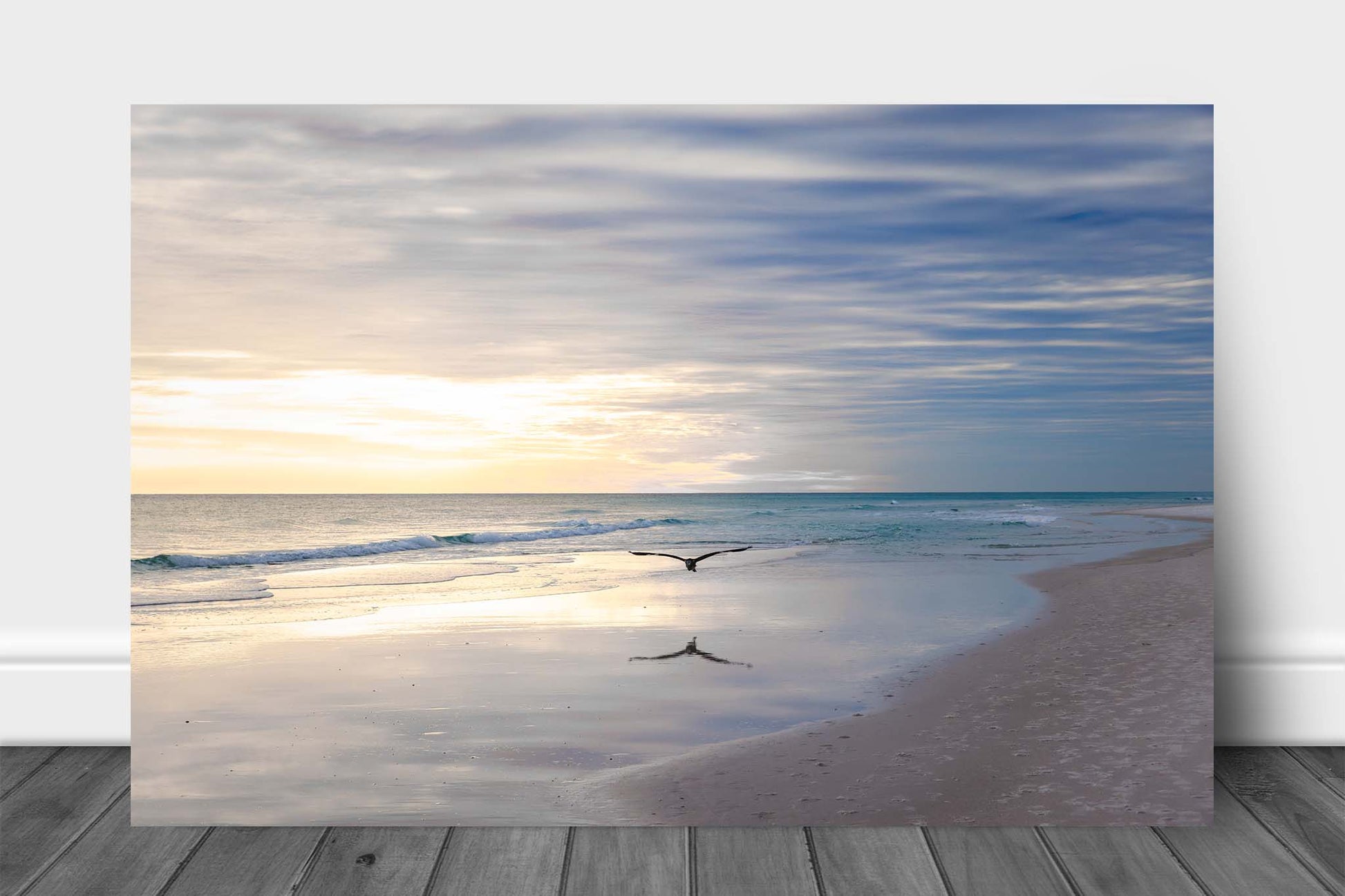 Gulf Coast aluminum metal print wall art of a sea bird flying over waves at Pensacola Beach, Florida by Sean Ramsey of Southern Plains Photography.