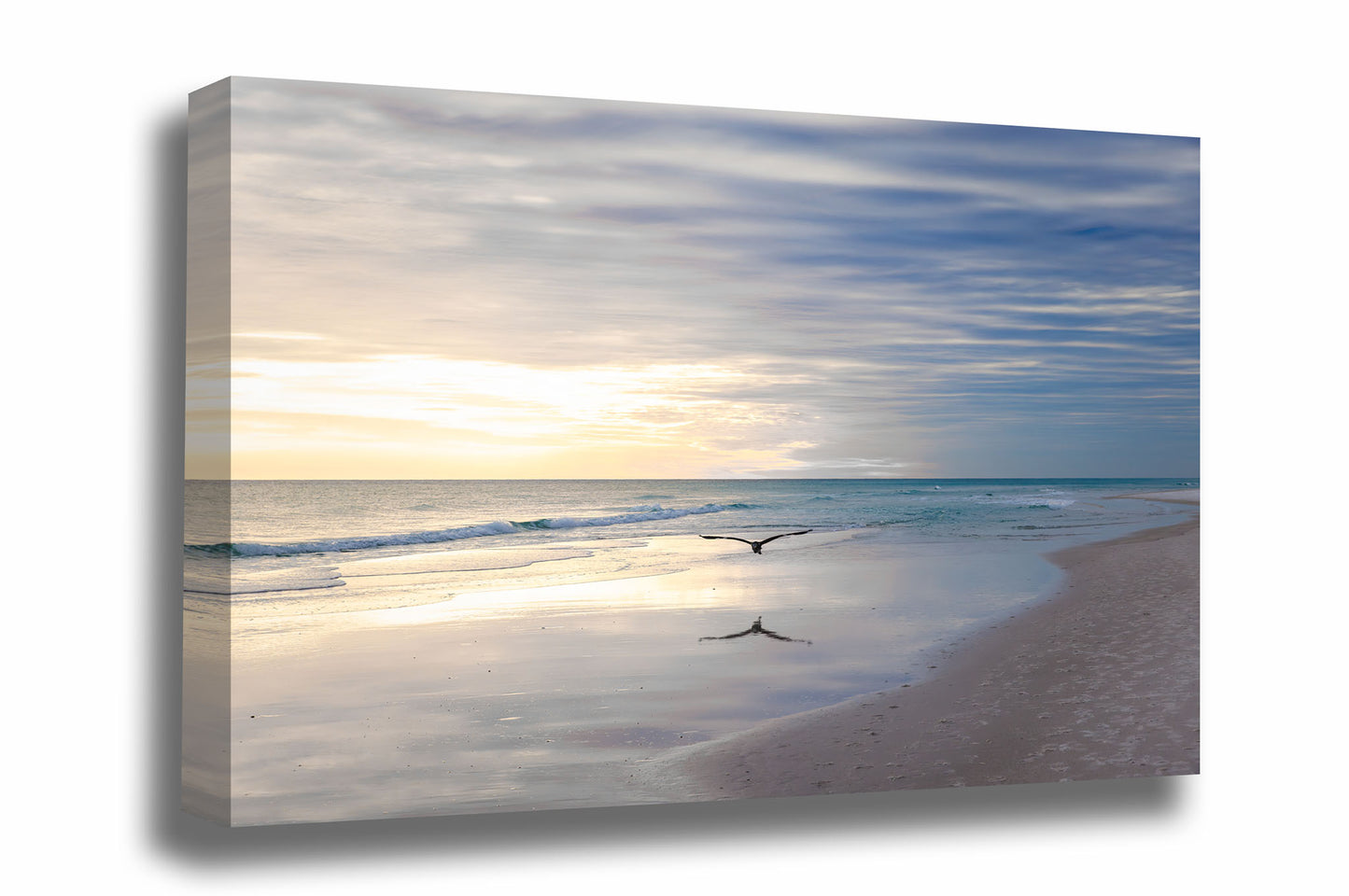 Gulf Coast gallery wrapped canvas wall art of a sea bird flying over waves at Pensacola Beach, Florida by Sean Ramsey of Southern Plains Photography.