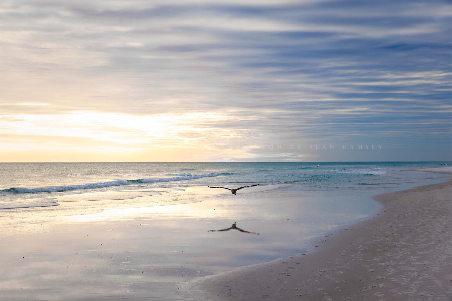 Gulf Coast photography print of a sea bird flying over waves at Pensacola Beach, Florida by Sean Ramsey of Southern Plains Photography.