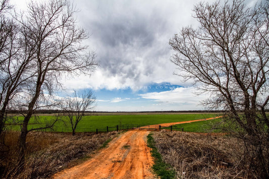 Country photography print of a red dirt road between trees leading to a pasture and memories on the farm in Oklahoma by Sean Ramsey of Southern Plains Photography.