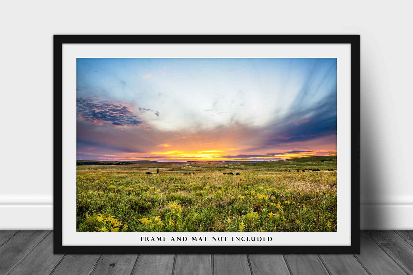 Great Plains Photography Print (Not Framed) Picture of Warm Sunset Over Tallgrass Prairie in Osage County Oklahoma Landscape Wall Art Western Decor