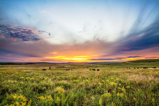 Great plains photography print of a scenic sunset over the Tallgrass Prairie on an autumn evening in Osage County, Oklahoma by Sean Ramsey of Southern Plains Photography.