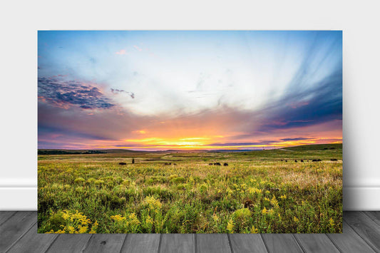 Great Plains metal print of a scenic sunset over the Tallgrass Prairie Preserve in Osage County, Oklahoma by Sean Ramsey of Southern Plains Photography.