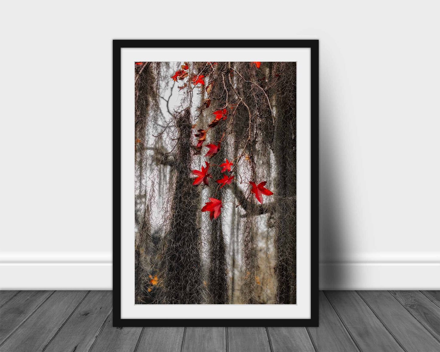 Leaves Tangled in Spanish Moss Photography Print | Vertical Botanical Picture | Bayou Wall Art | Louisiana Swamp Photo | Nature Decor | Not Framed