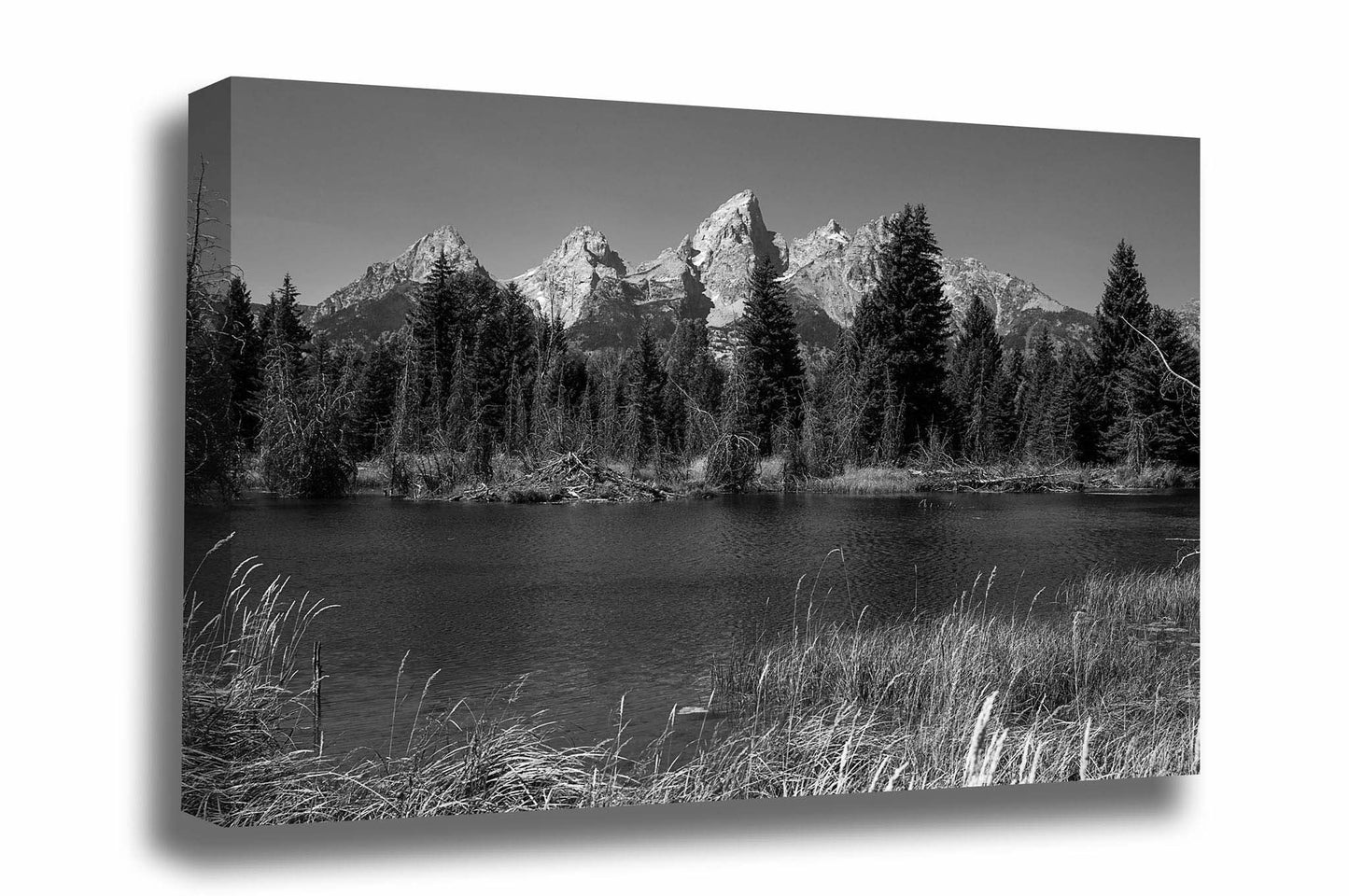 Black and white Rocky Mountain canvas wall art of Grand Teton overlooking a marsh at Schwabacher Landing in Grand Teton National Park, Wyoming by Sean Ramsey of Southern Plains Photography.