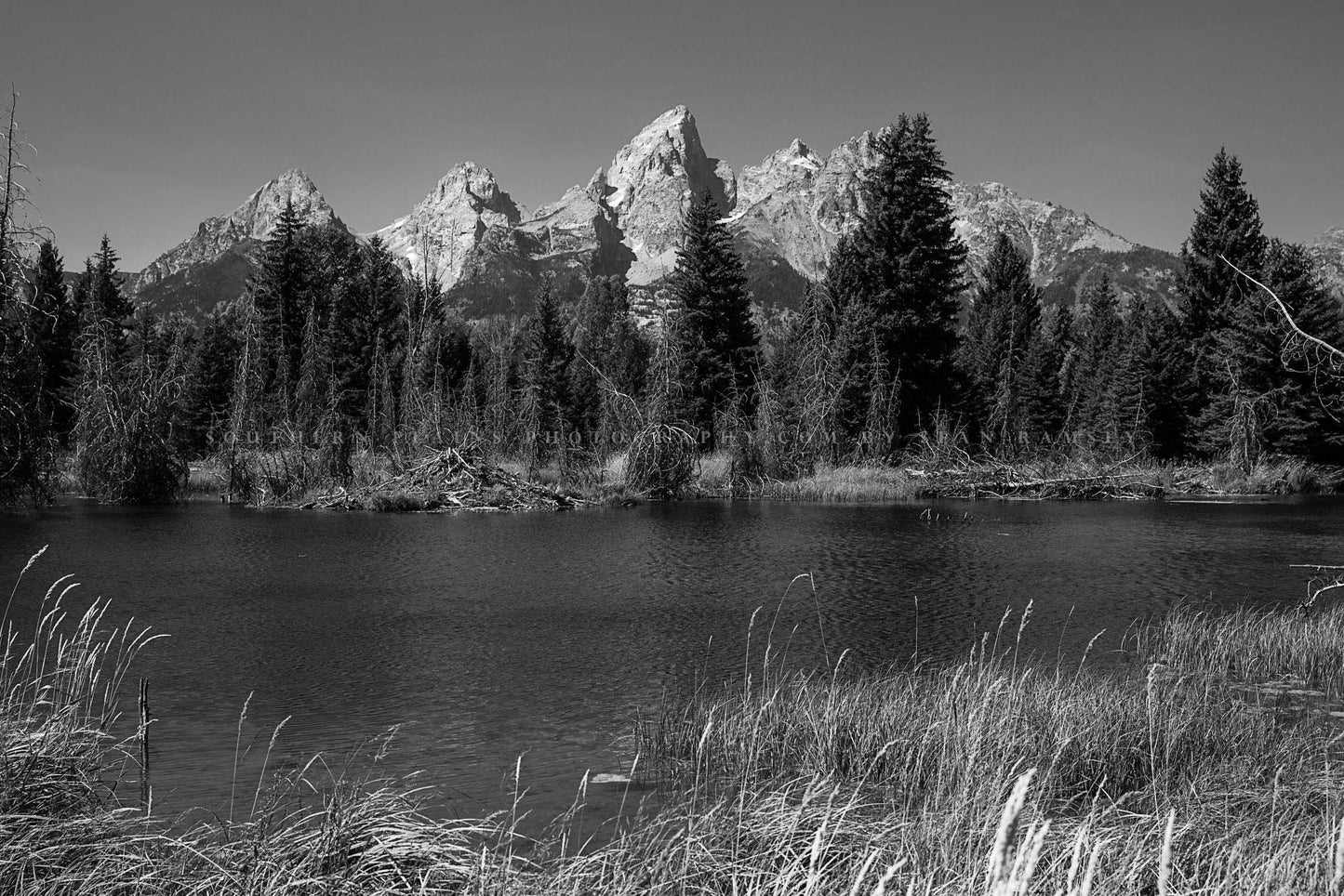 Grand Teton overlooks the waters of Schwabacher Landing on an autumn day in Grand Teton National Park, Wyoming in black and white by Sean Ramsey of Southern Plains Photography.