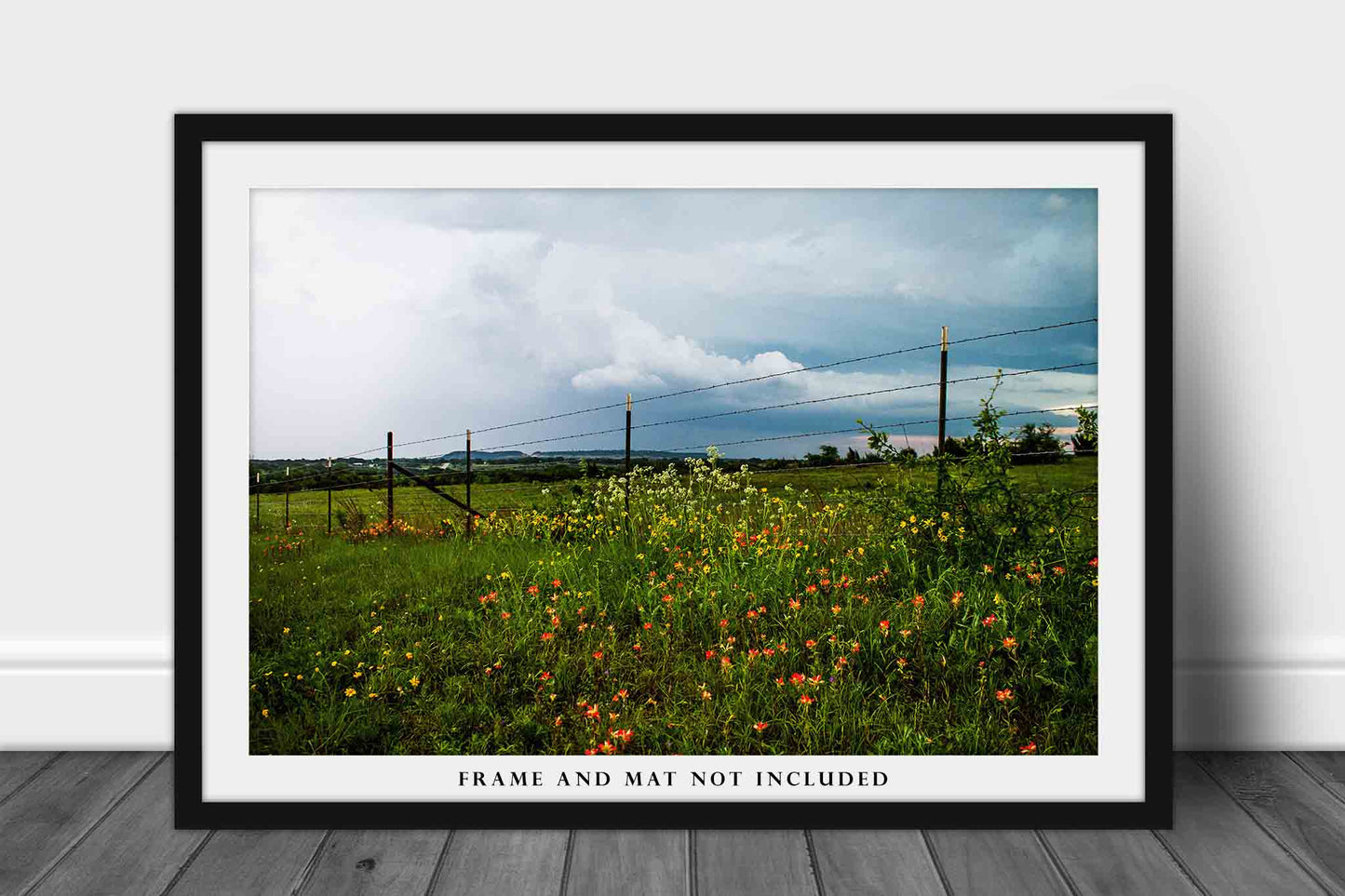 Country Photography Print - Picture of Wildflowers and Barbed Wire Fence on Stormy Day in Texas - Farmhouse Decor Wall Art Photo Artwork