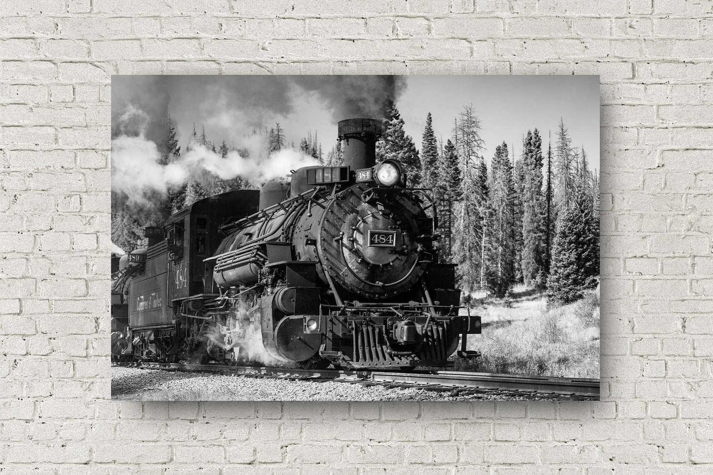Black and White train metal print on aluminum of a Cumbres & Toltec steam engine passing through a pine tree forest on an autumn day in the Rocky Mountains of Colorado by Sean Ramsey of Southern Plains Photography.