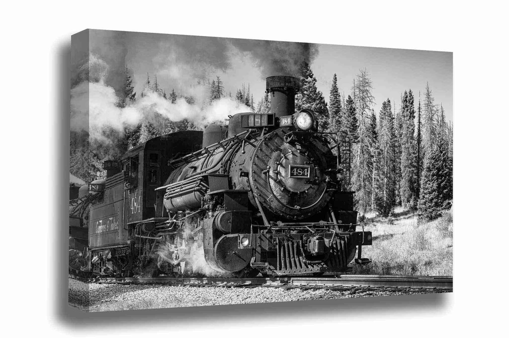Black and White train canvas wall art of a steam engine locomotive passing through a forest on an autumn day in the Rocky Mountains of Colorado by Sean Ramsey of Southern Plains Photography.