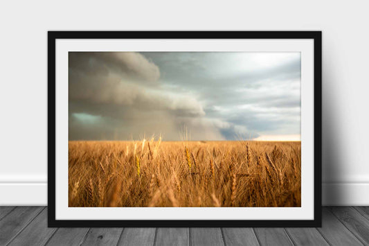 Farm and country framed print wall art of a thunderstorm over a golden wheat field on the plains of Colorado by Sean Ramsey of Southern Plains Photography.