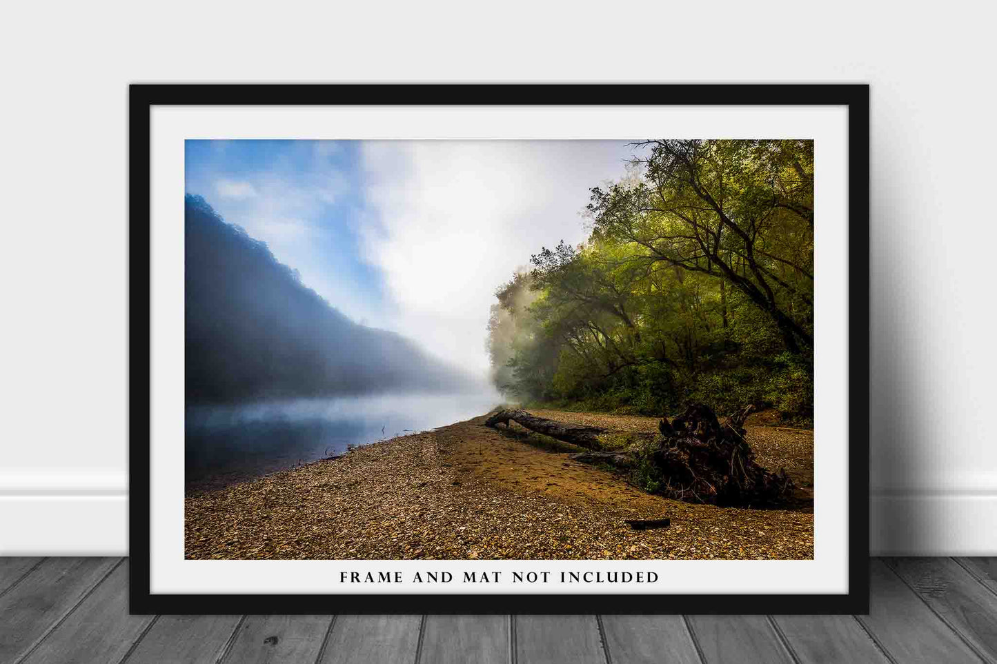 Ozark Mountains Photography Print (Not Framed) Picture of Fallen Tree on Foggy Morning Along Buffalo River in Arkansas Outdoors Wall Art Nature Decor
