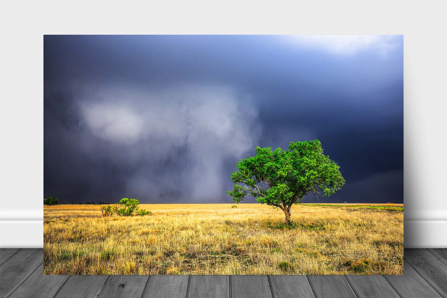 Storm aluminum metal print wall art of hauntingly beautiful storm clouds revealing themselves from rain as a lone tree stands tall on the plains of the Texas Panhandle by Sean Ramsey of Southern Plains Photography.