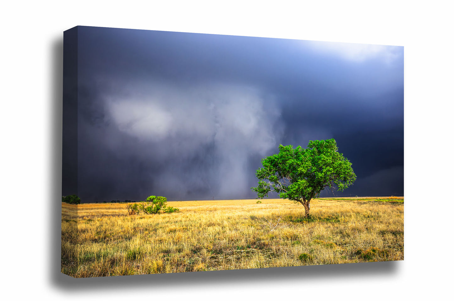 Storm gallery wrapped canvas wall art of hauntingly beautiful storm clouds revealing themselves from rain as a lone tree stands tall on the plains of the Texas Panhandle by Sean Ramsey of Southern Plains Photography.