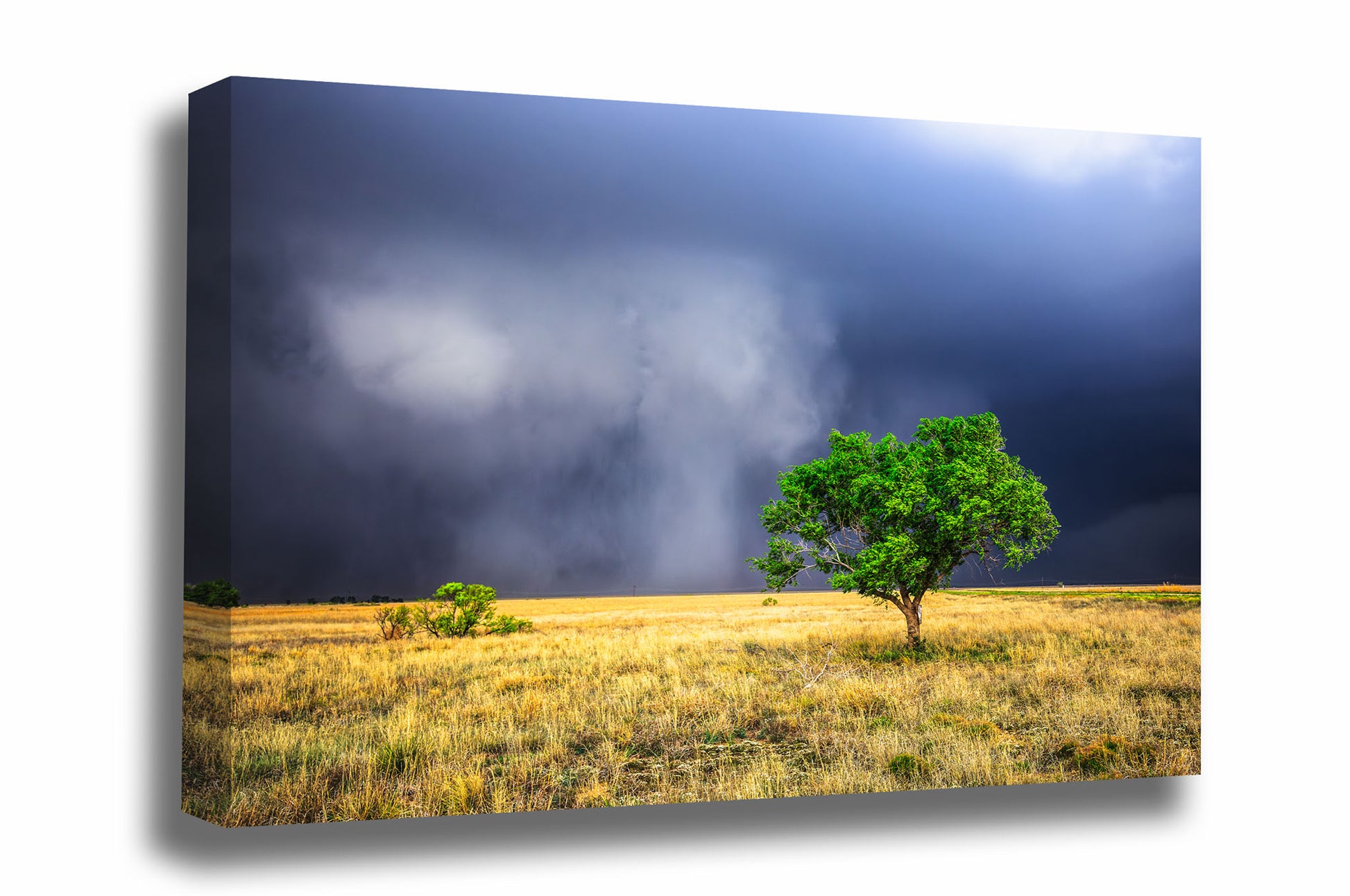 Storm gallery wrapped canvas wall art of hauntingly beautiful storm clouds revealing themselves from rain as a lone tree stands tall on the plains of the Texas Panhandle by Sean Ramsey of Southern Plains Photography.