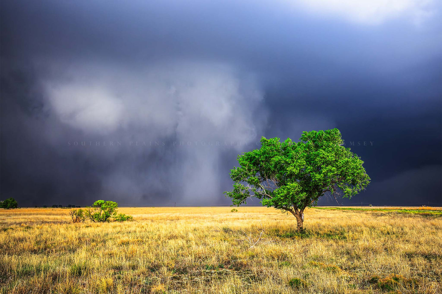 Storm photography print of hauntingly beautiful storm clouds revealing themselves from rain as a lone tree stands tall on the plains of the Texas Panhandle by Sean Ramsey of Southern Plains Photography.