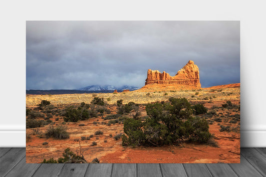 Southwest landscape aluminum metal print wall art of a sandstone rock formation overlooking the desert as the snowy La Sal Mountains appear in the distance in Arches National Park near Moab, Utah by Sean Ramsey of Southern Plains Photography.