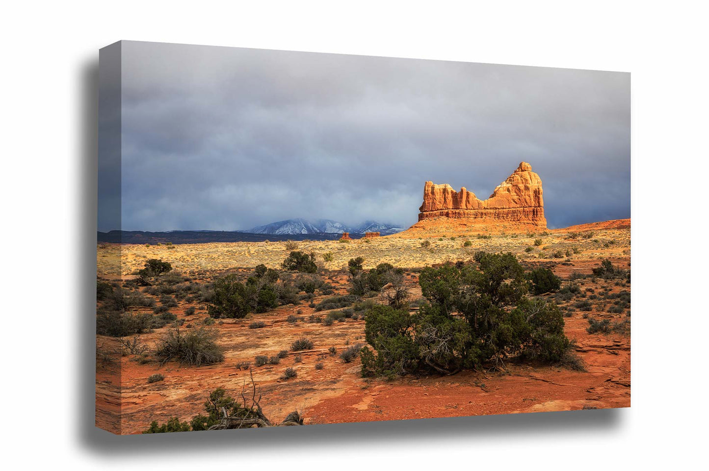 Southwest landscape gallery wrap canvas wall art of a sandstone rock formation overlooking the desert as the snowy La Sal Mountains appear in the distance in Arches National Park near Moab, Utah by Sean Ramsey of Southern Plains Photography.