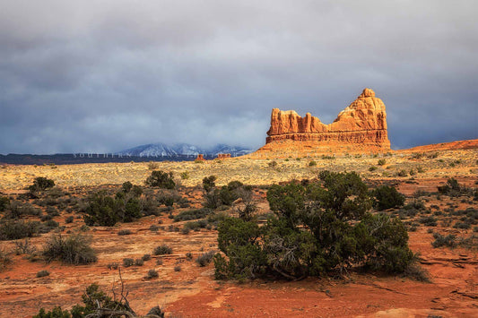 Southwest landscape photography print of a sandstone rock formation overlooking the desert as the snowy La Sal Mountains appear in the distance in Arches National Park near Moab, Utah by Sean Ramsey of Southern Plains Photography.