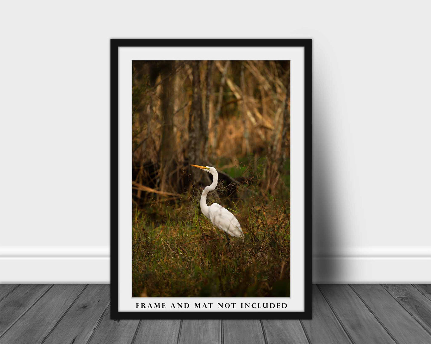 The Great Egret | Swamp Water Bird Photography Print | Vertical Louisiana Bayou Wildlife Wall Art | Unframed