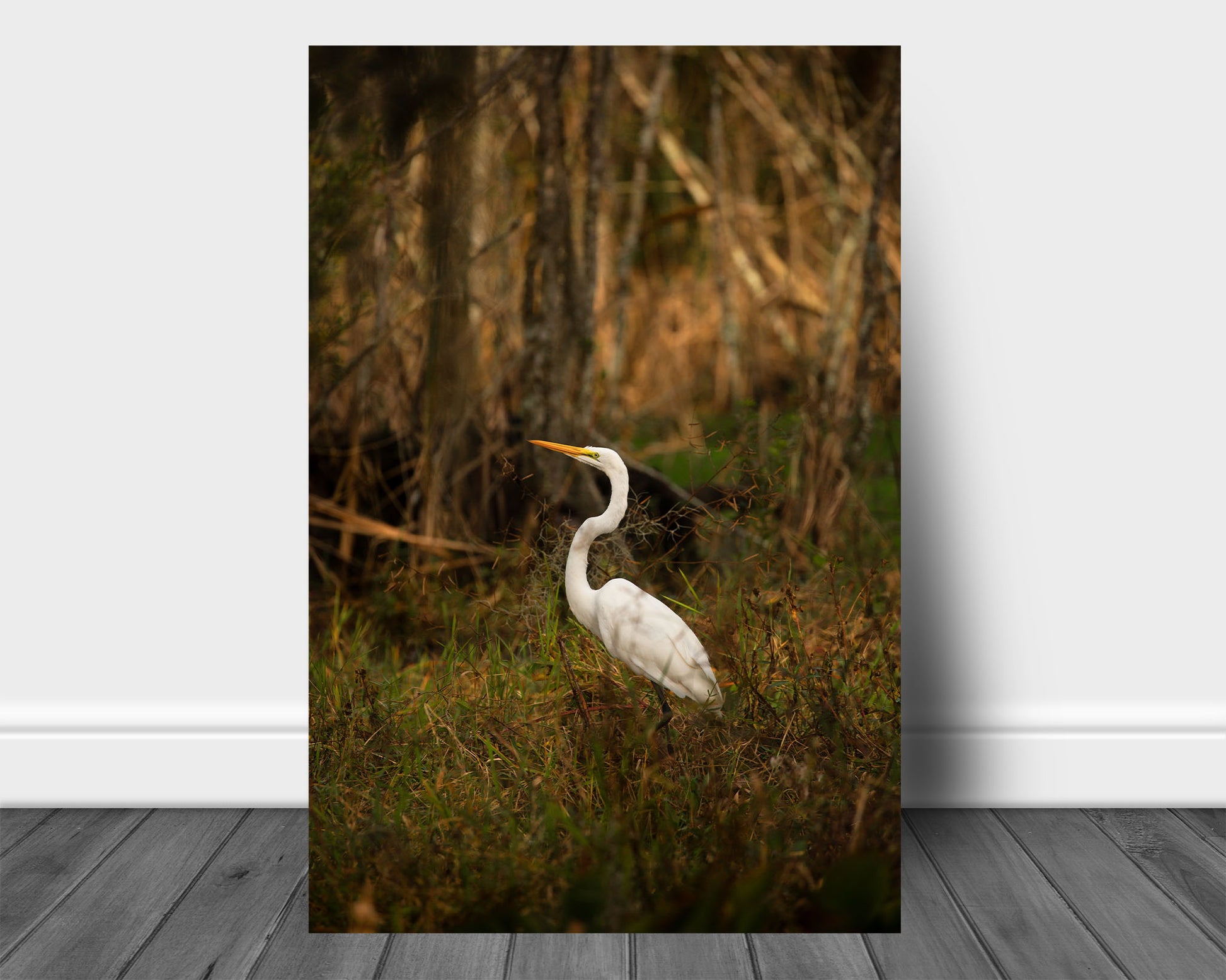Vertical wildlife aluminum metal print of a Great Egret showing off its grace and beauty while standing in a swamp in Louisiana by Sean Ramsey of Southern Plains Photography.