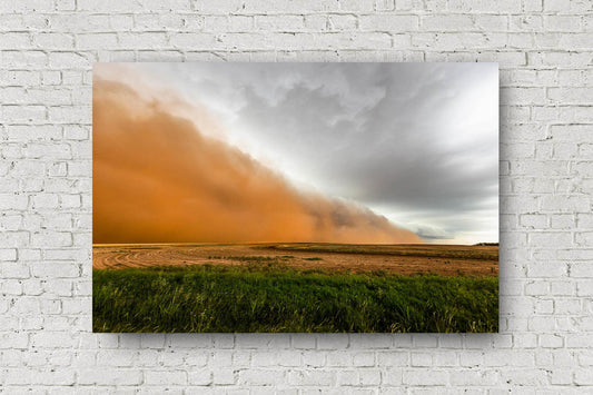 Haboob metal print wall art of a dust storm sweeping over a field on a stormy spring day in Texas by Sean Ramsey of Southern Plains Photography.