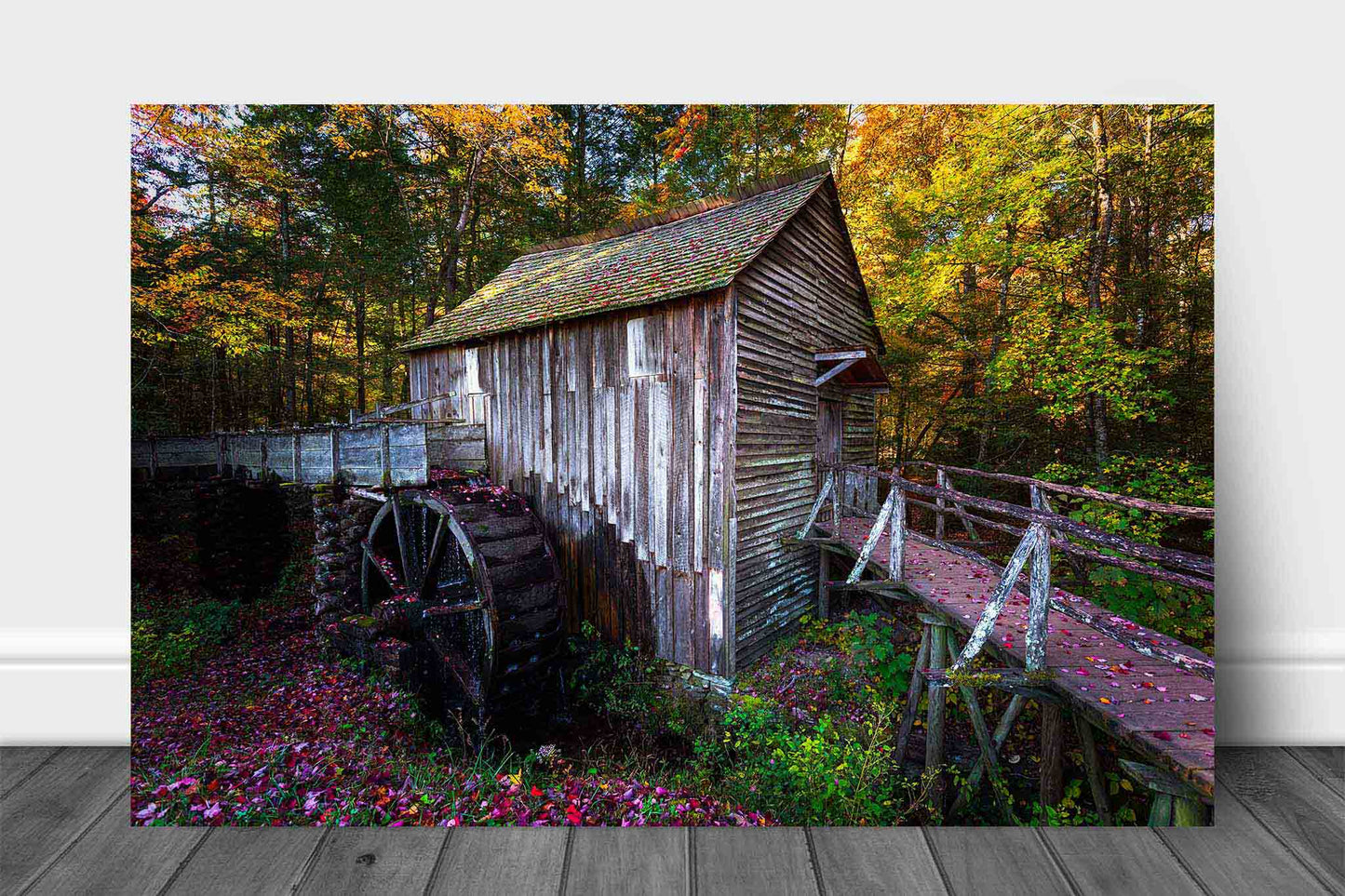 Country metal print wall art on aluminum of the John Cable Mill surrounded by fall color on an autumn day at Cades Cove in the Great Smoky Mountains of Tennessee by Sean Ramsey of Southern Plains Photography.