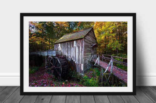 Framed and matted country print of the John Cable Mill surrounded by fall color on an autumn day at Cades Cove in the Great Smoky Mountains of Tennessee by Sean Ramsey of Southern Plains Photography.