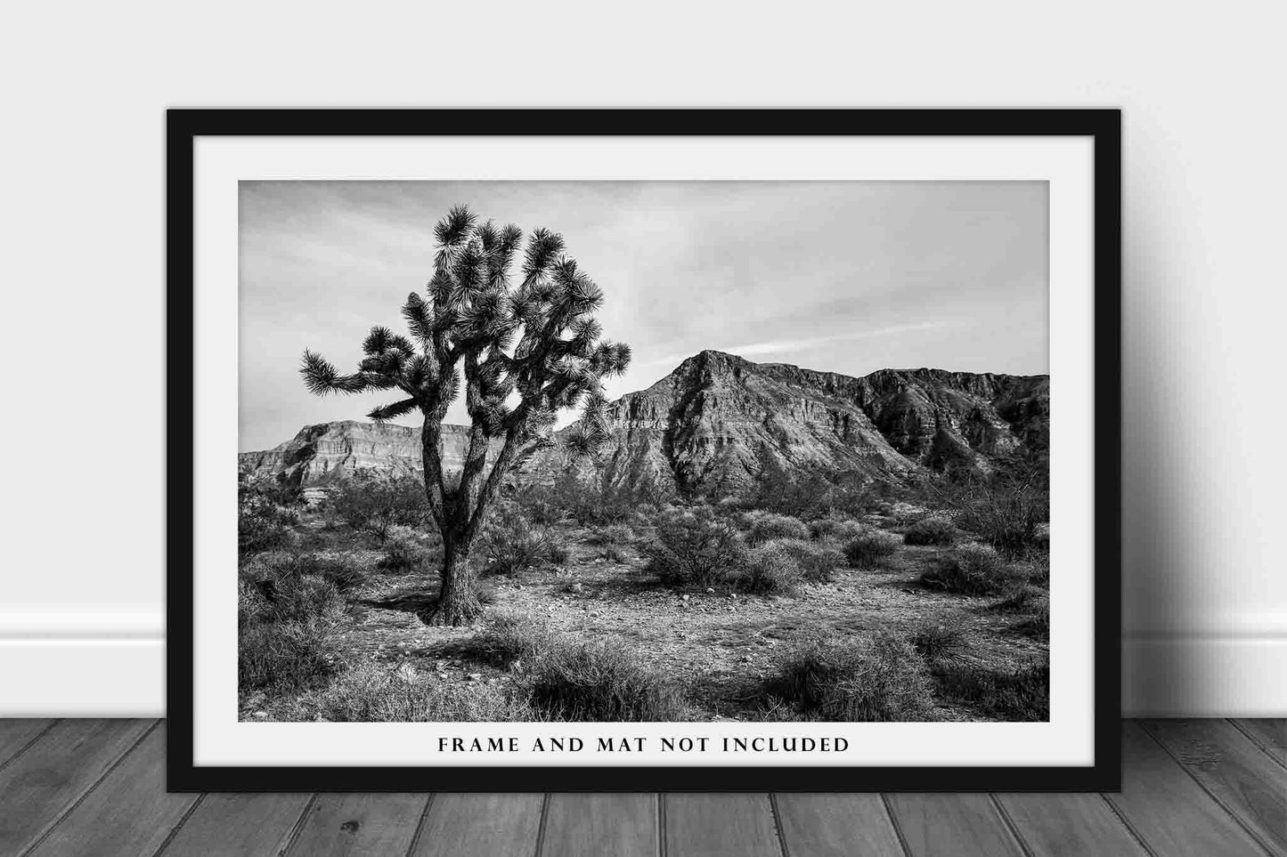 Joshua Tree Photography Print | Desert Picture | Black and White Wall Art | Arizona Photo | Southwestern Decor | Not Framed
