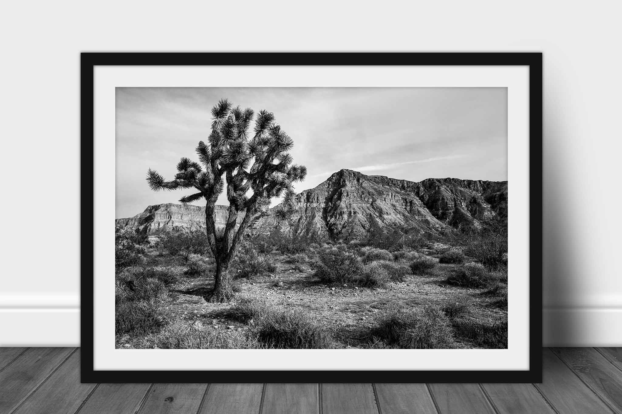 Framed and matted black and white photography print of a Joshua Tree and mountain in the Arizona desert by Sean Ramsey of Southern Plains Photography.