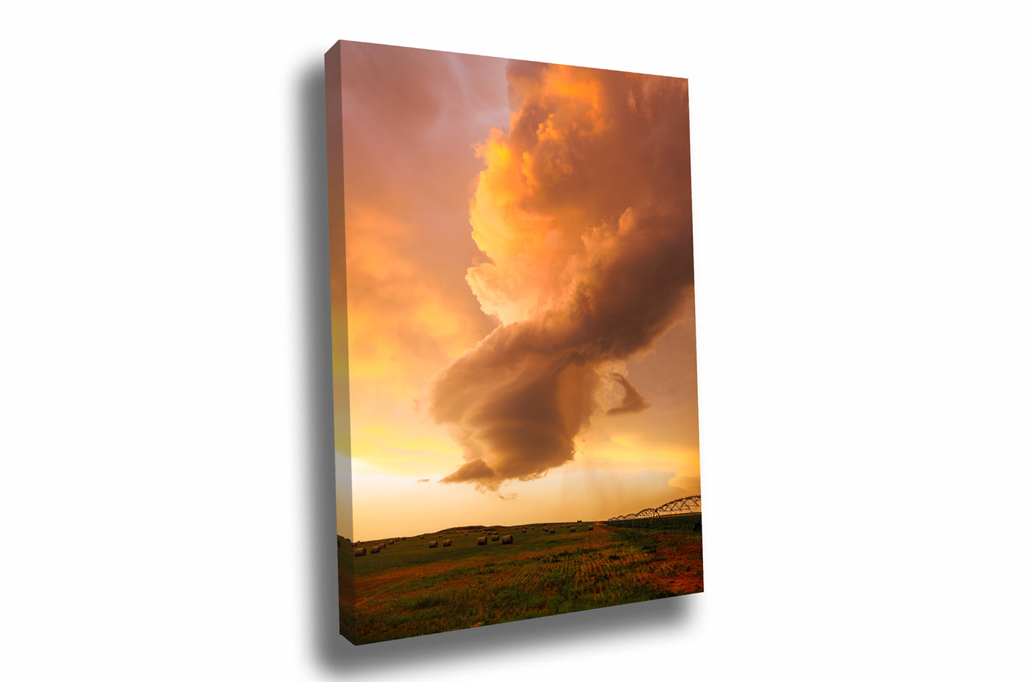 Stormy sky gallery wrapped canvas wall art that is vertical orientation of a dissipating storm cloud that was once a supercell thunderstorm over a field drenched in evening sunlight at sunset in Oklahoma by Sean Ramsey of Southern Plains Photography.