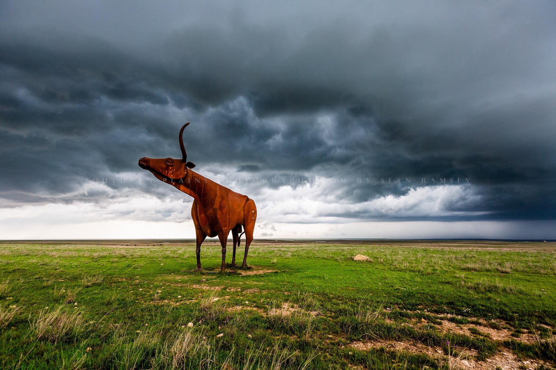 Western photography print of a steel longhorn statue towering over the plains on a stormy spring day in Texas by Sean Ramsey of Southern Plains Photography.