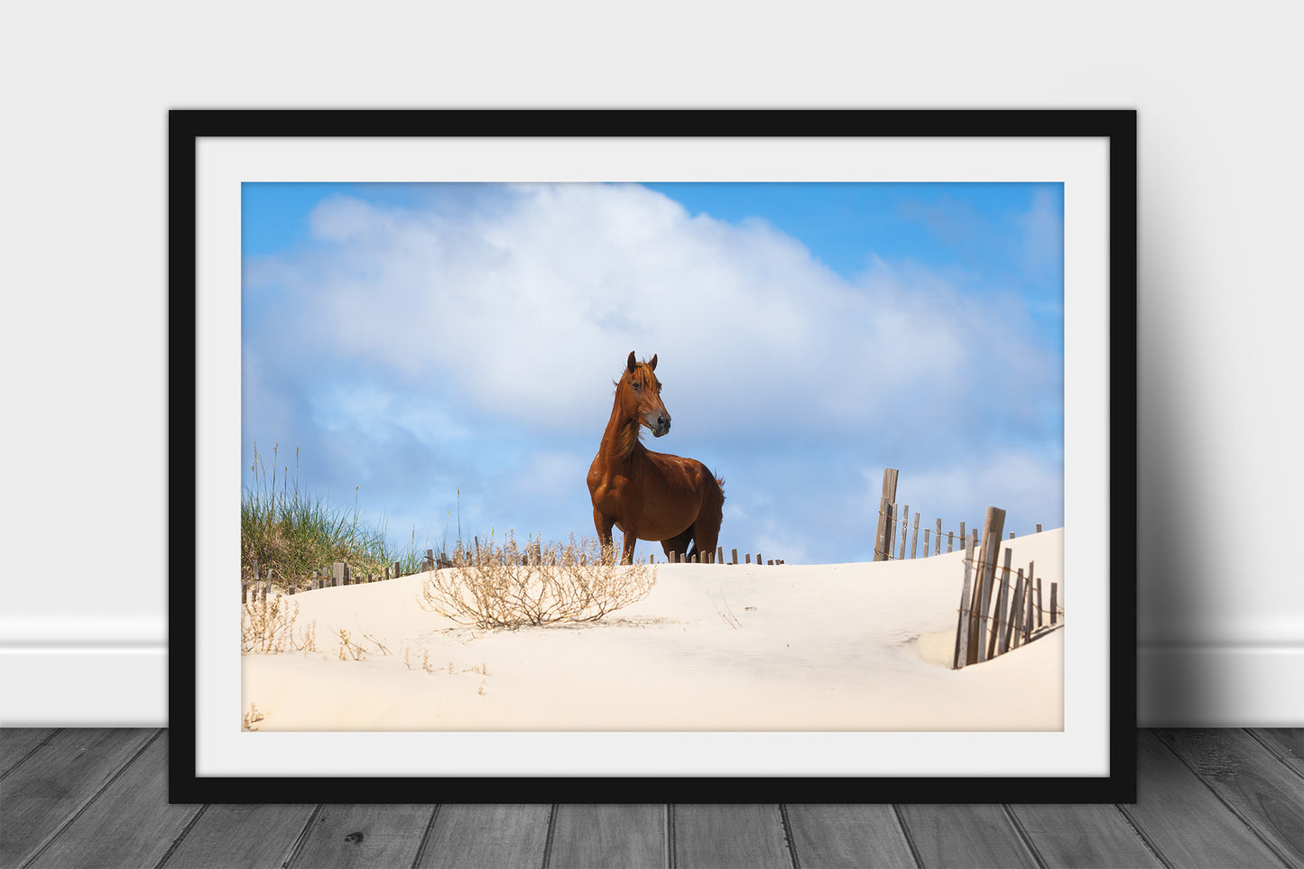 Framed and matted OBX print of a wild horse majestically standing on a sand dune over looking a beach along the Outer Banks in Corolla, North Carolina by Sean Ramsey of Southern Plains Photography.