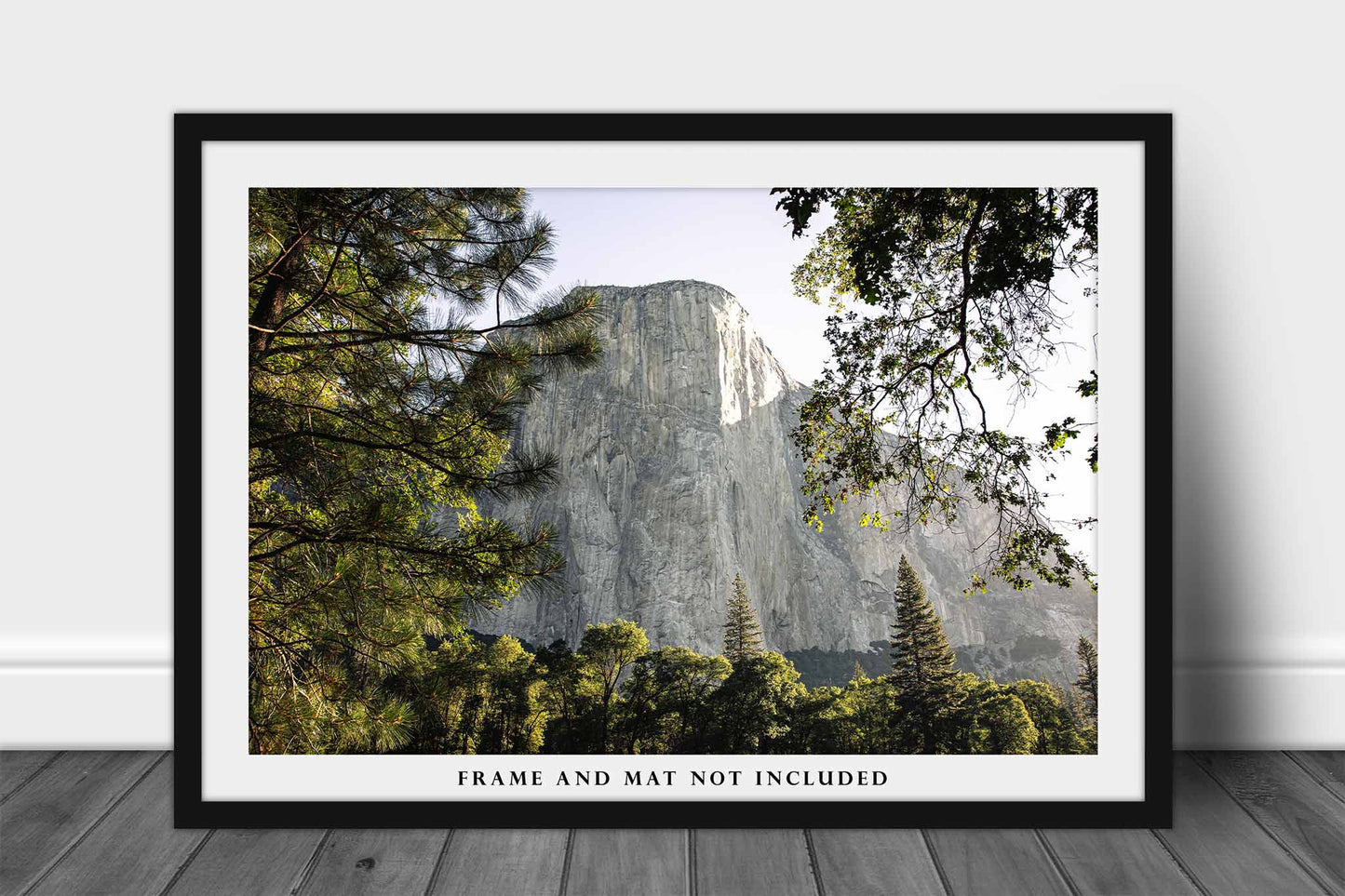 El Capitan Photography Print | Yosemite Picture | National Parks Wall Art | California Photo | Sierra Nevada Decor | Not Framed