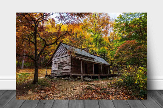 Rustic country metal print wall art of the Bud Ogle Cabin surrounded by fall color on an autumn day near Gatlinburg, Tennessee by Sean Ramsey of Southern Plains Photography.