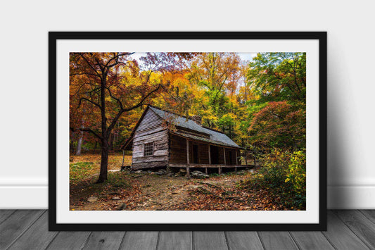 Framed and matted rustic country print of the Bud Ogle cabin surrounded by fall color on an autumn day in the Great Smoky Mountains of Tennessee by Sean Ramsey of Southern Plains Photography.