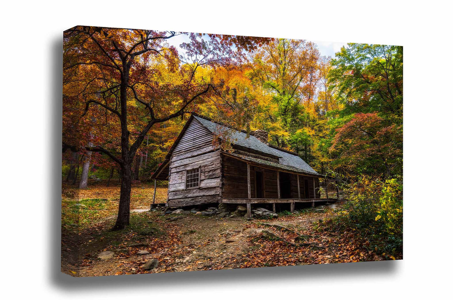 Great Smoky Mountains canvas wall art of the Bud Ogle Cabin nestled in trees with fall foliage on an autumn day near Gatlinburg, Tennessee by Sean Ramsey of Southern Plains Photography.