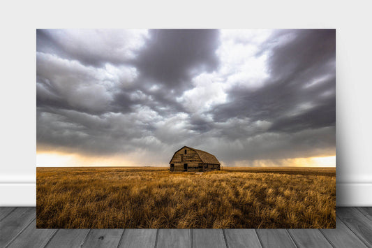Great Plains aluminum metal print wall art of an old barn nestled in golden prairie grass under a stormy sky on a spring day in Oklahoma by Sean Ramsey of Southern Plains Photography.