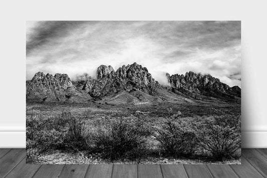 Black and white southwestern landscape metal print of the Organ Mountains in the Chihuahuan Desert near Las Cruces, New Mexico by Sean Ramsey of Southern Plains Photography.