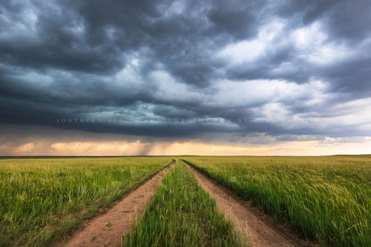 Western photography print of wheel ruts in prairie grass leading to a nearby thunderstorm bringing rain to the northern plains near Cheyenne, Wyoming by Sean Ramsey of Southern Plains Photography.
